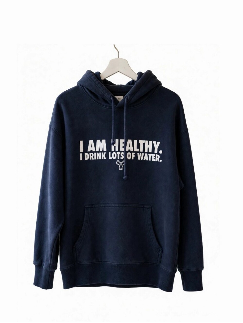 aritzia x Tna healthy boyfriend hoodie